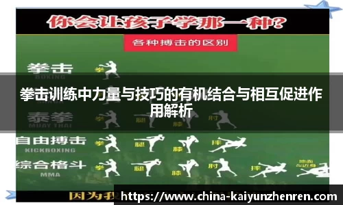 开云真人